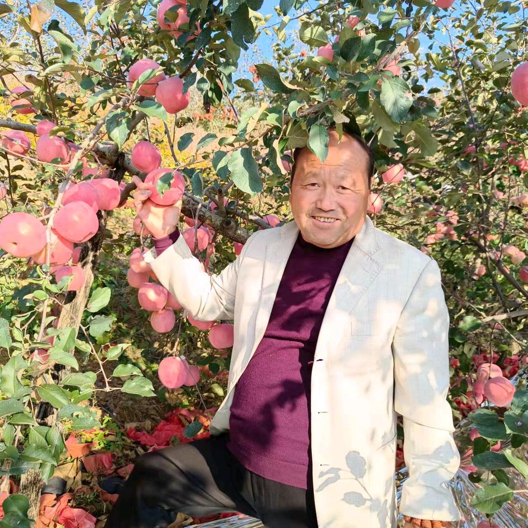 栖霞市丁鹏农资