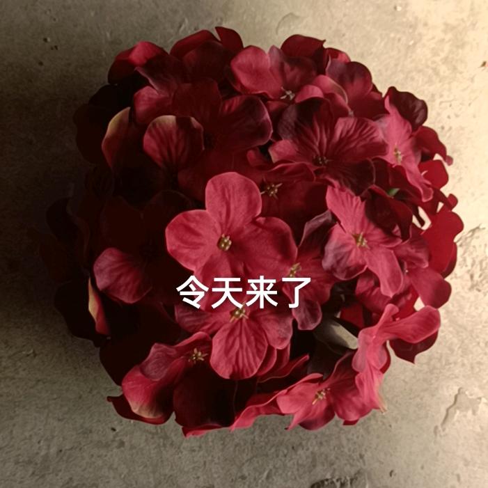 手工活dym3hq5c7mow