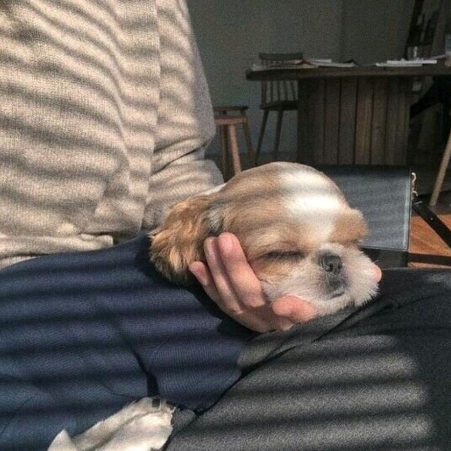 要怎么停呢