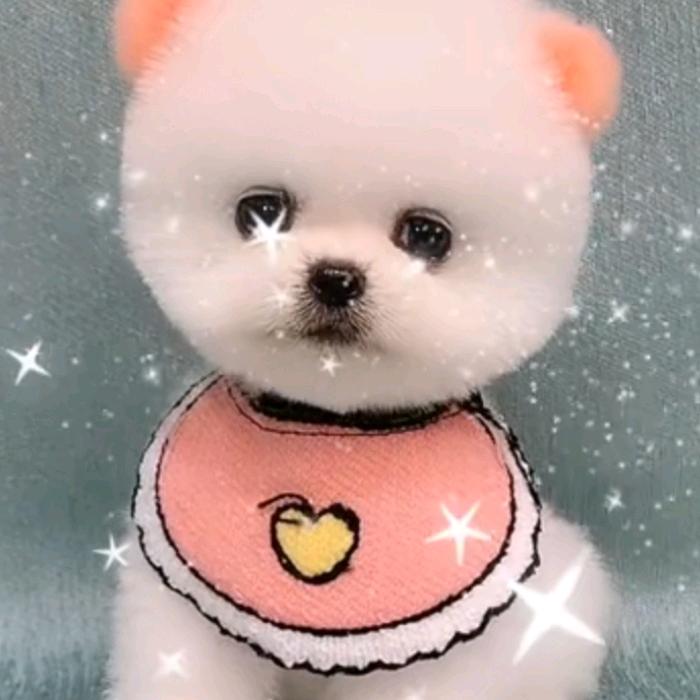 🌷🌺丽丽