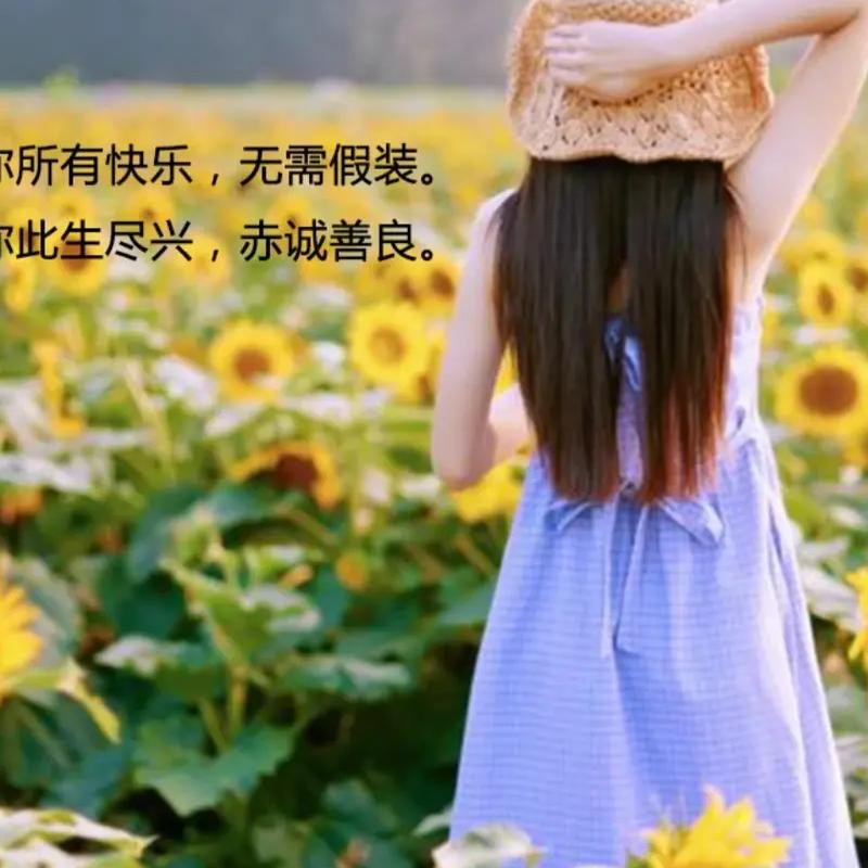 🍀🌻杨虹🌻🍀