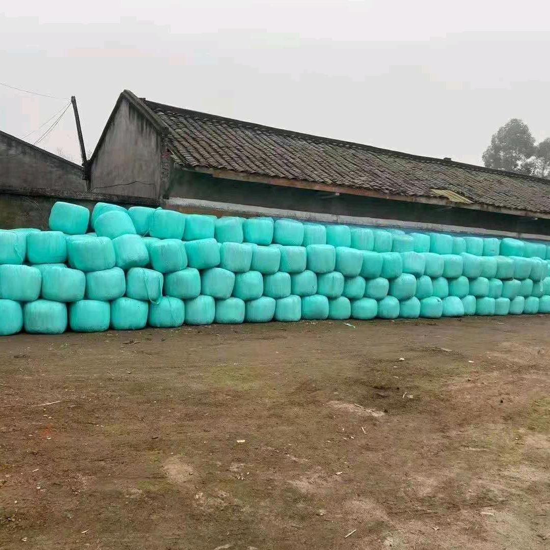 裕丰牧草