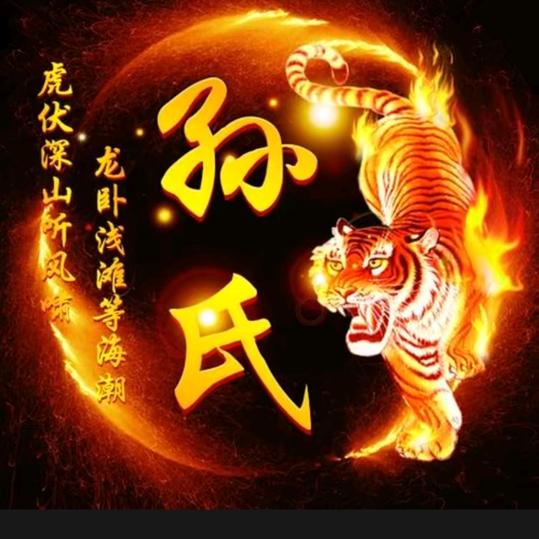 启航发展有限公司