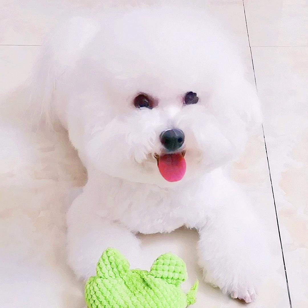 杨小悠💕