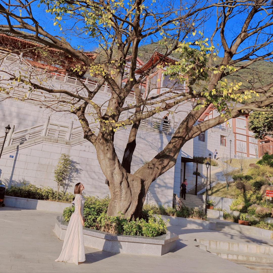 维维