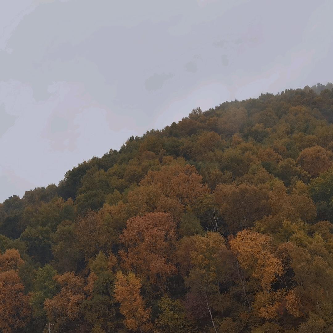 要么别开始ノ要么一辈子