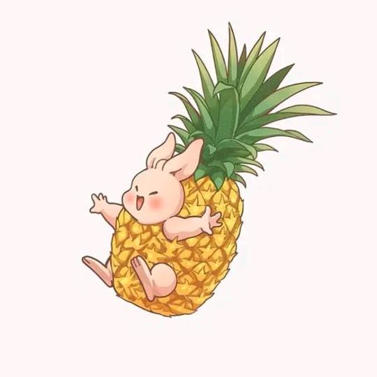 大凤梨🍍