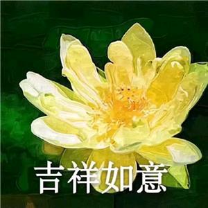 60后的婆婆（60姐）