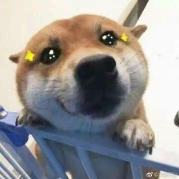 彼岸花开_228527181