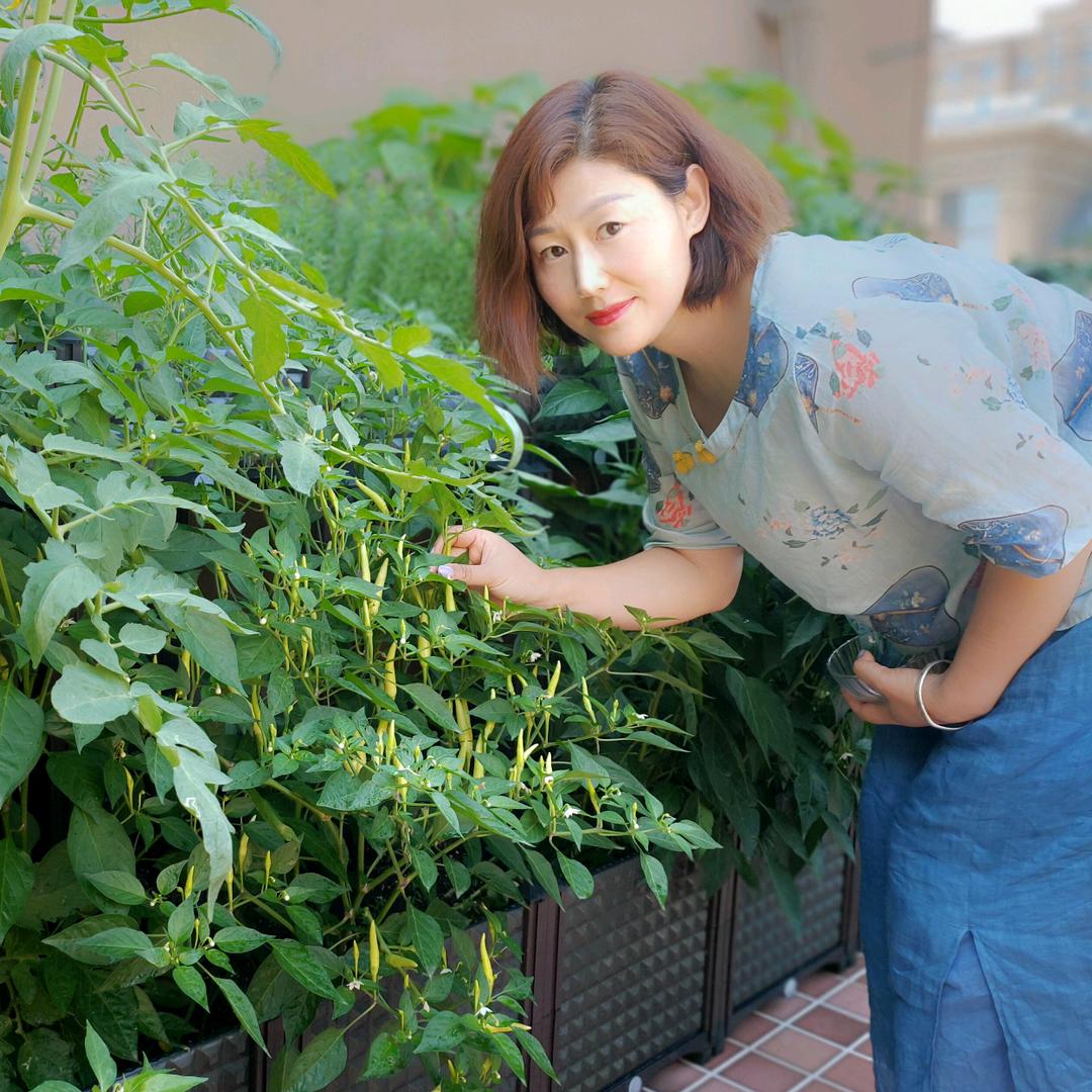 方绿园艺