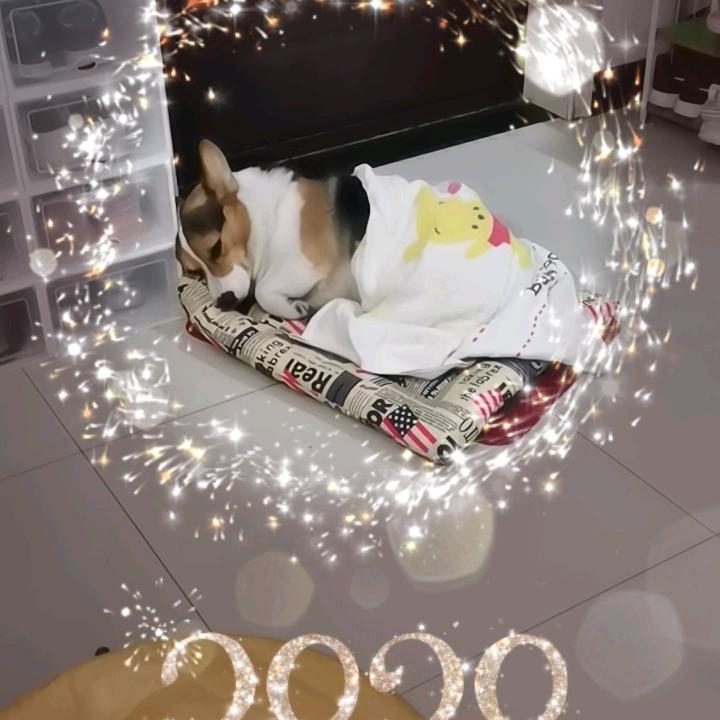 继续安静下去