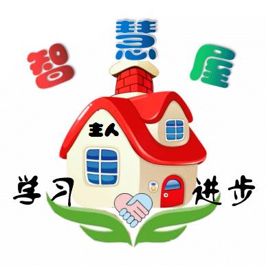 智慧屋主人