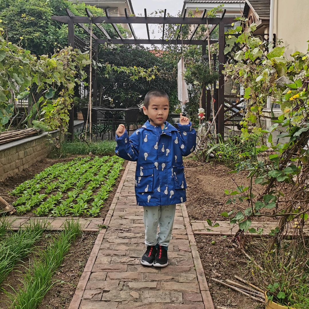 阿南