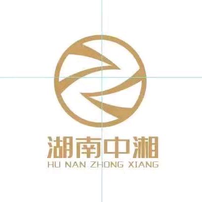 长沙中湘金属回收