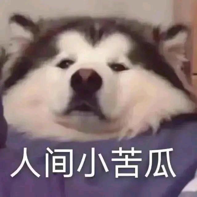 财神爷的心尖尖👯‍♀️