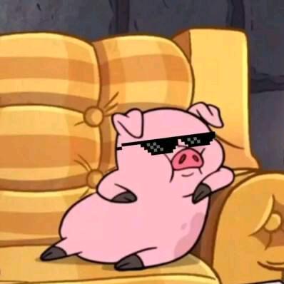 不eat只cat不改名