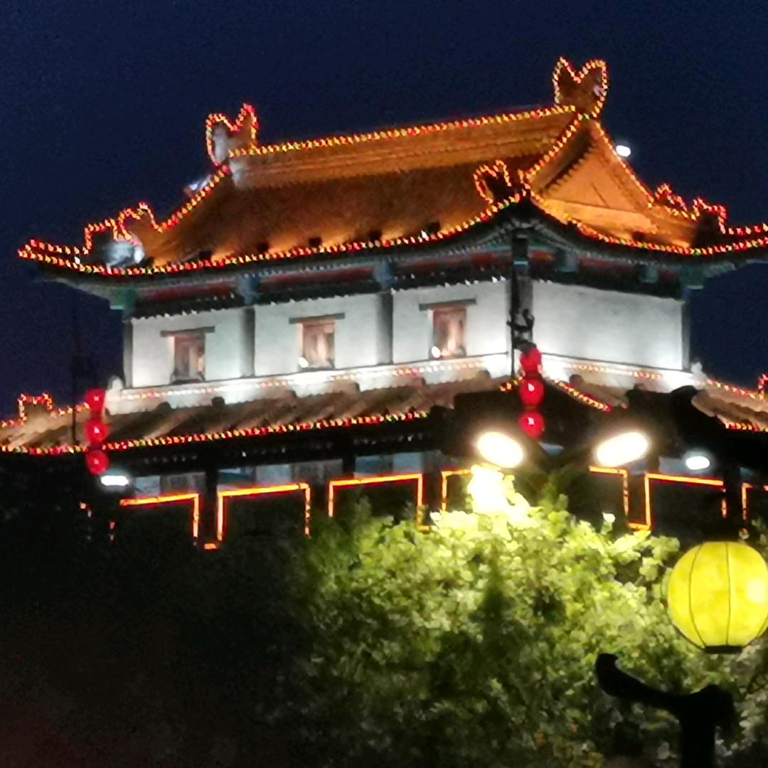 高原之鹰