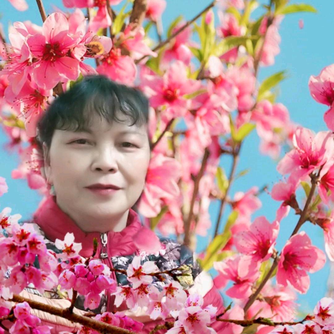 金
