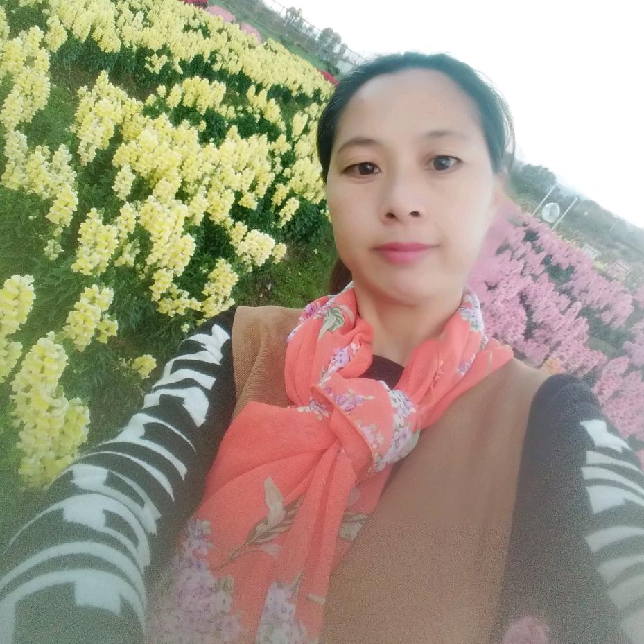 漆包线候小姐