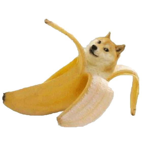 究极彩虹至尊炫光狂飙封魔宇宙级猎杀迅猛龙