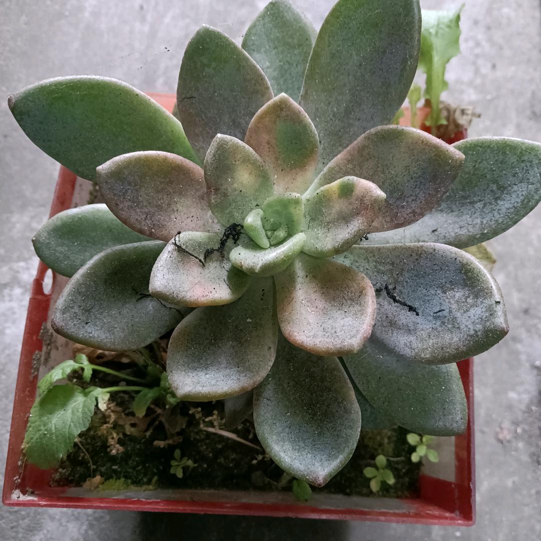 用户1042802463832夏天的风