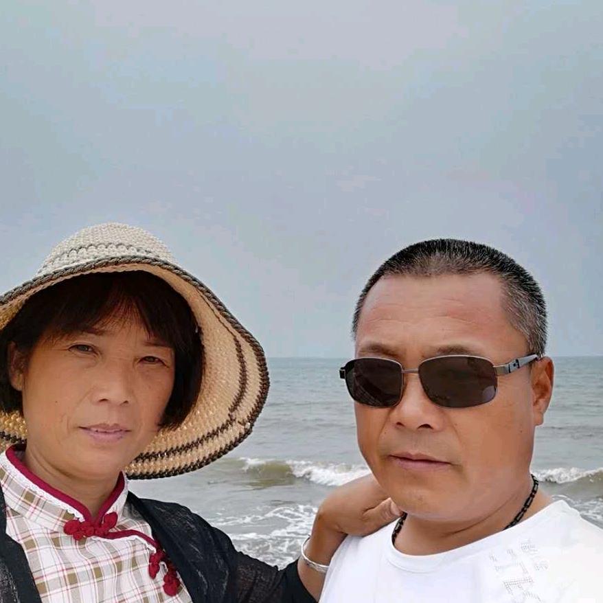 自由，感情的借口