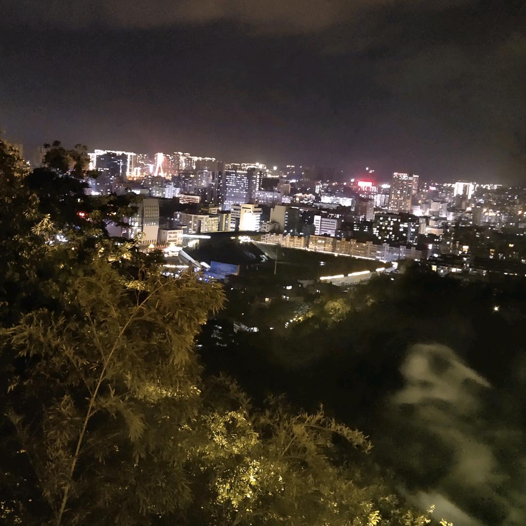 毛驴闯高速拦都拦不住