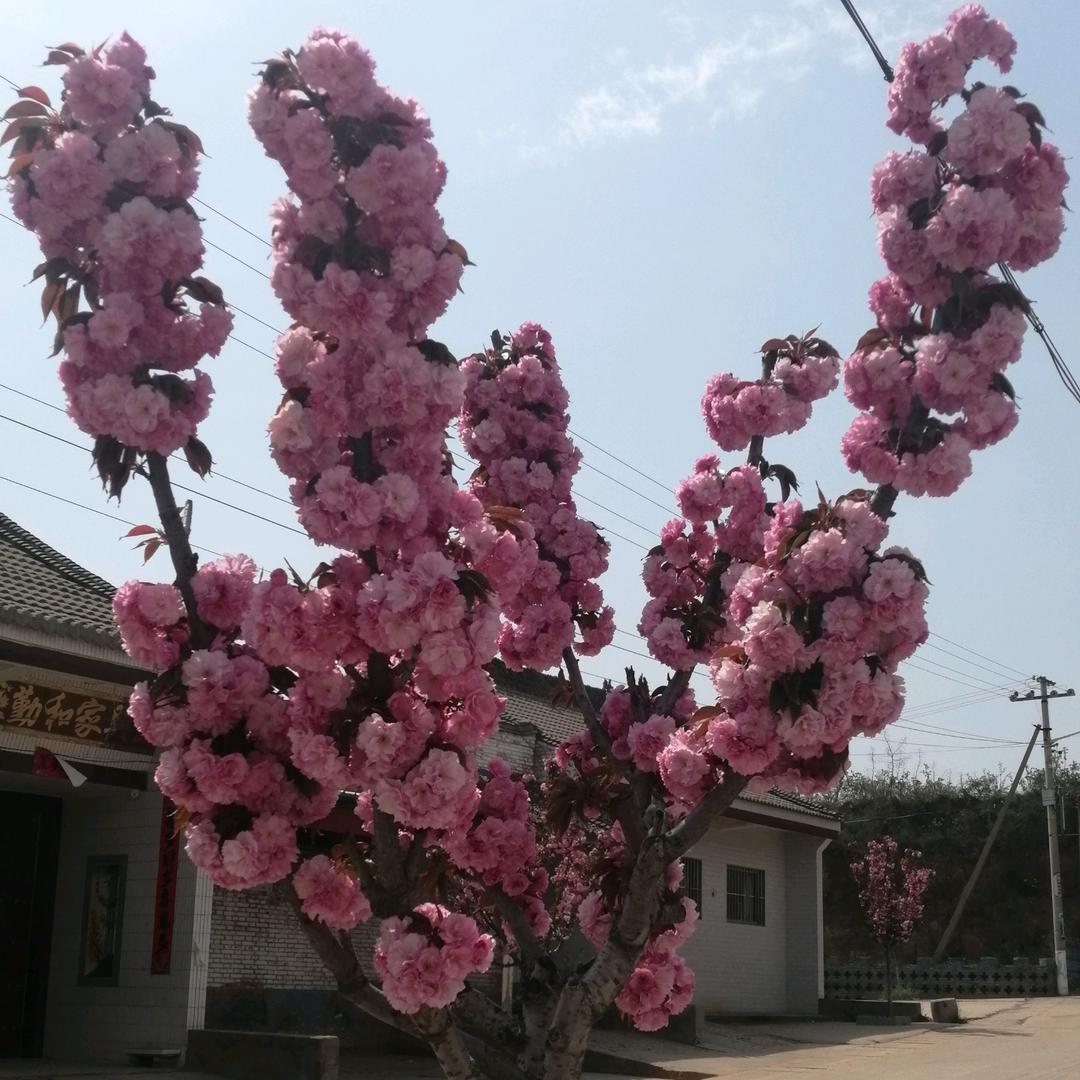 以诚相待