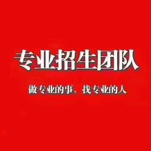 地推团队韩总