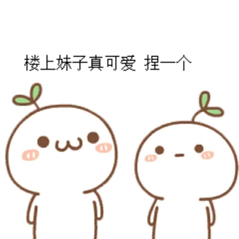 小不点@小不点