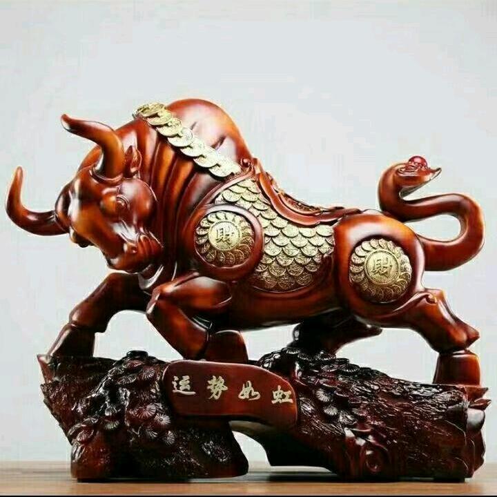 爱拼才会赢（装饰你的梦）