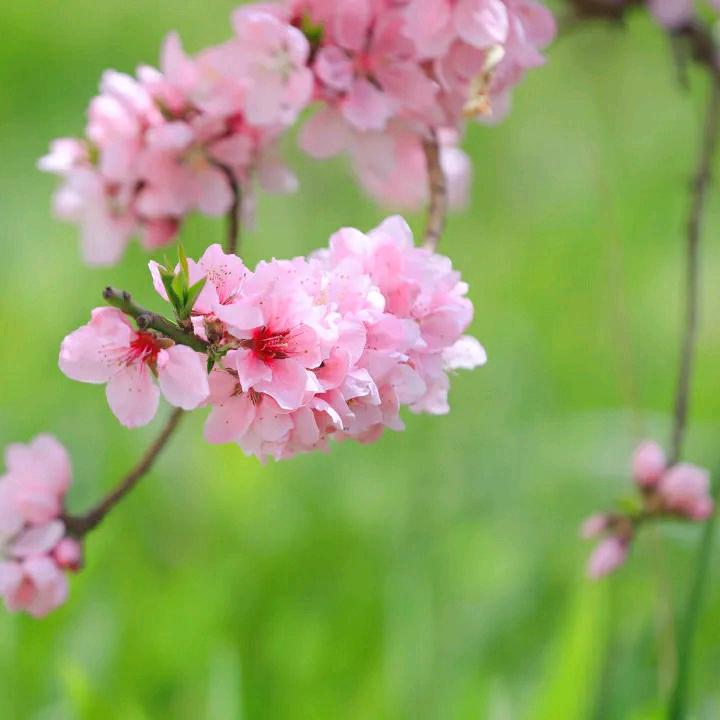 岁月