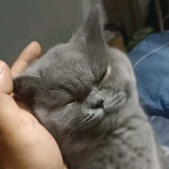 白屋钅