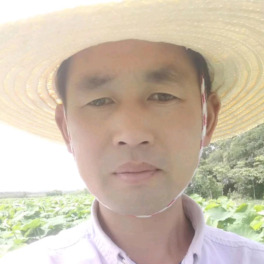 巢湖李进