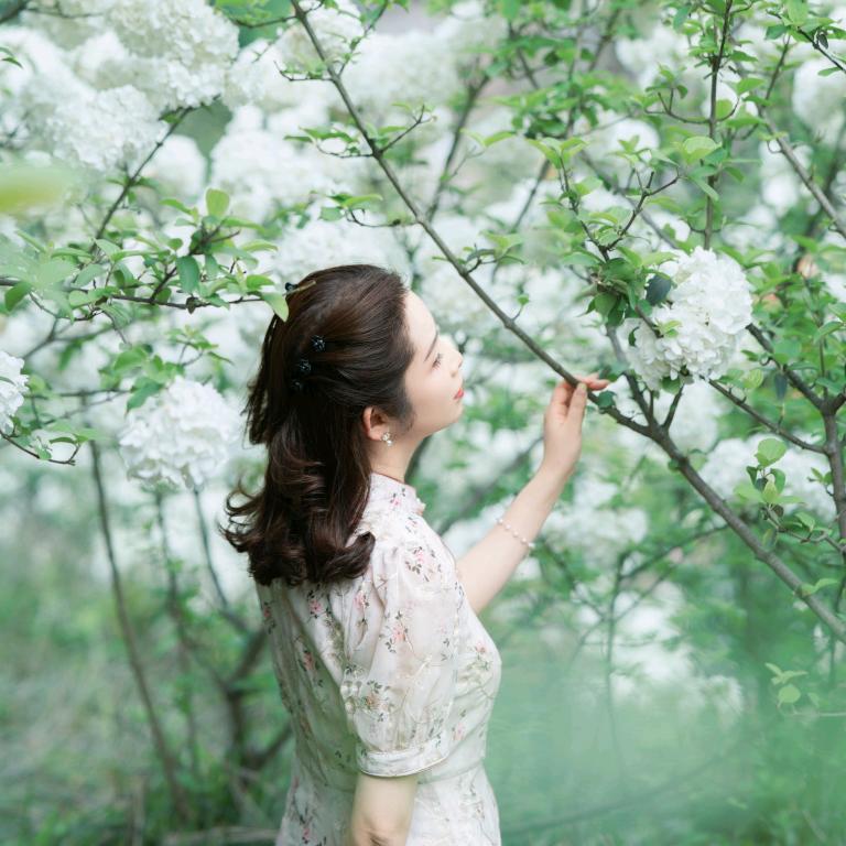 三小姐和她的猫