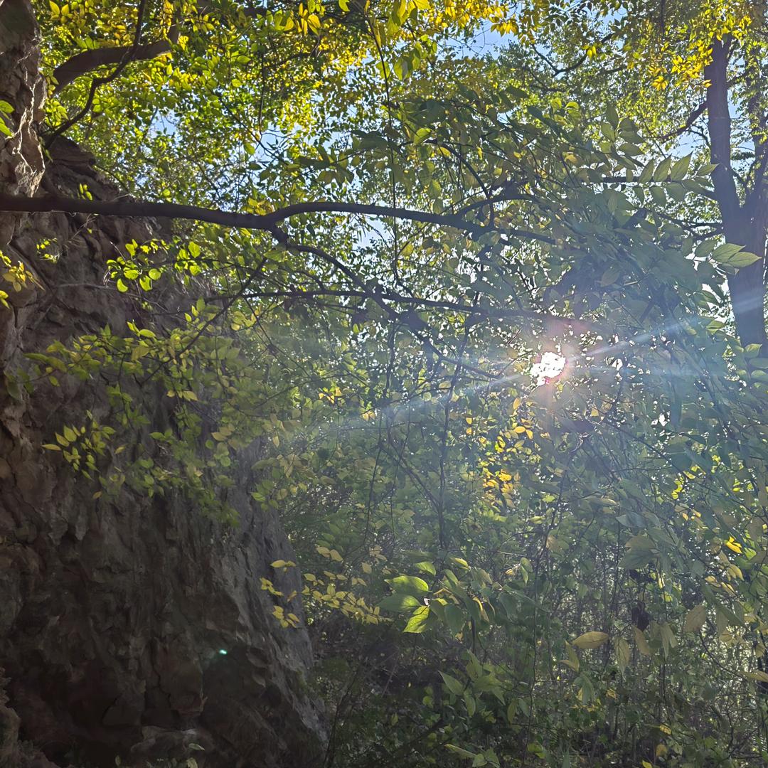 嵇聪.庭院生活设计工作室