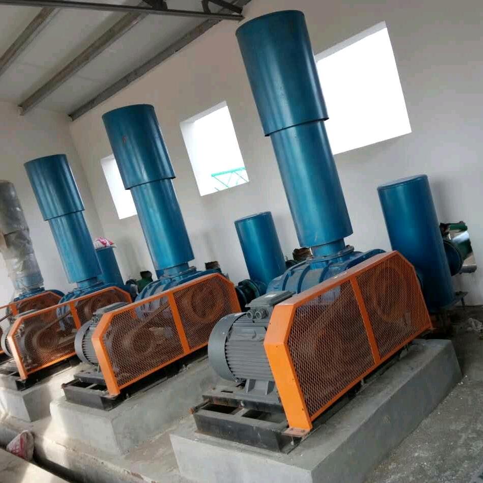 90后风机人（罗茨风机）