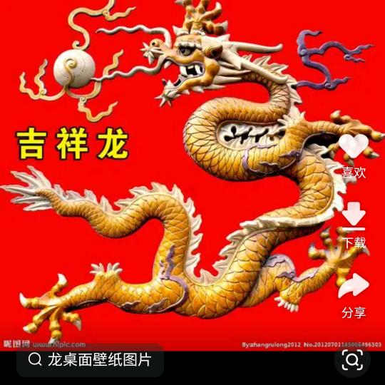 飞龙
