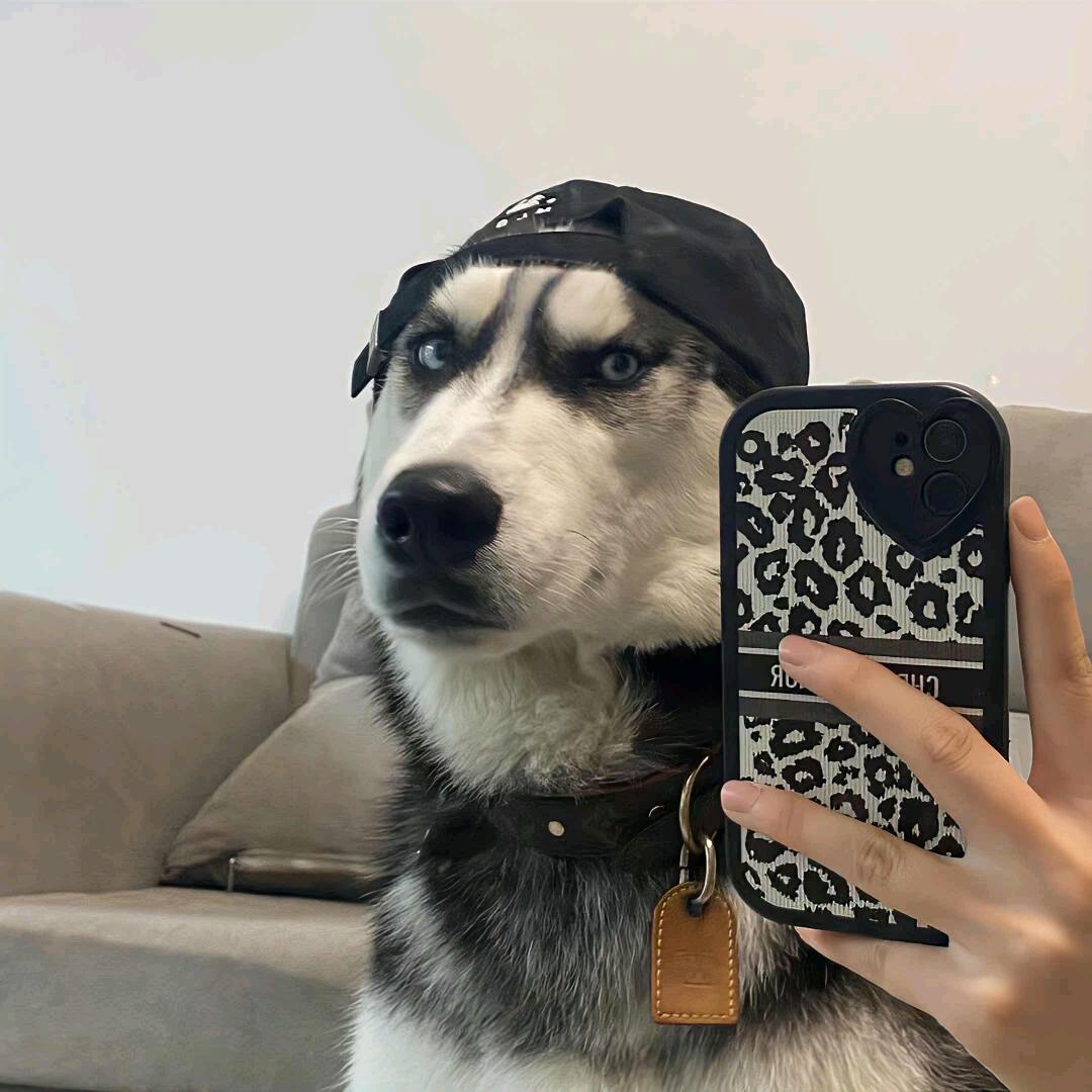 王先生·