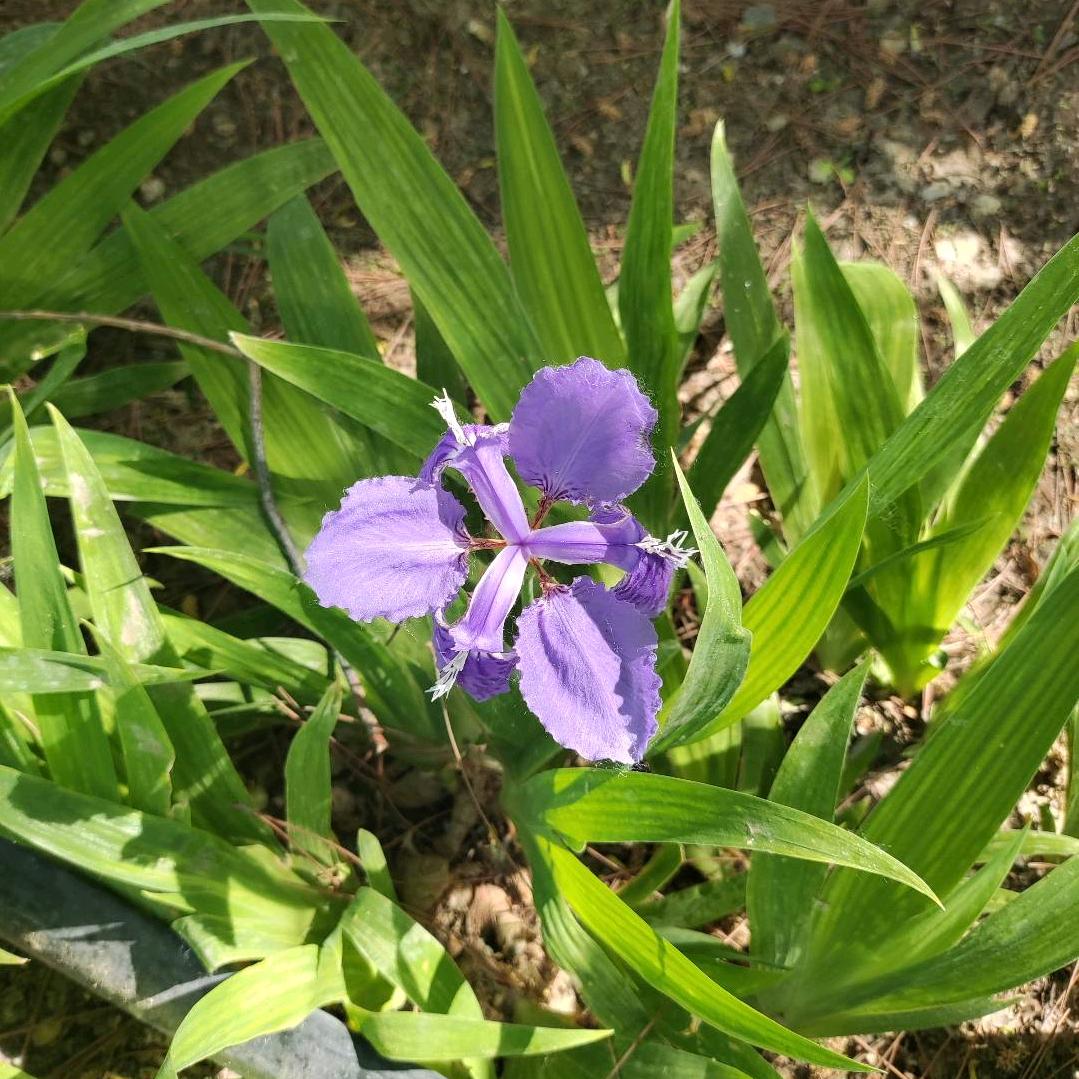 平安一生。。。