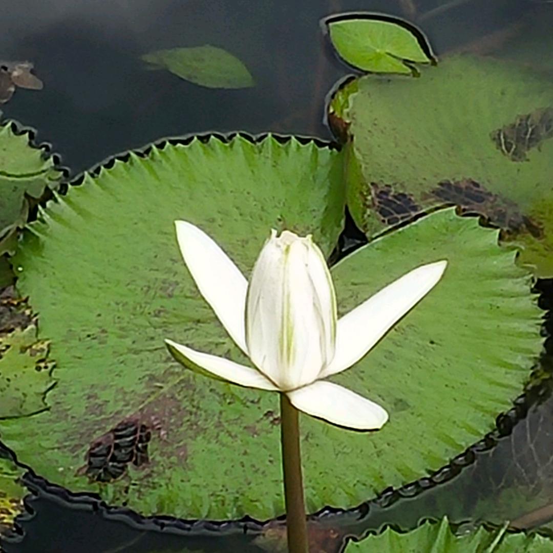 甜蜜未来:::拒私聊谢谢