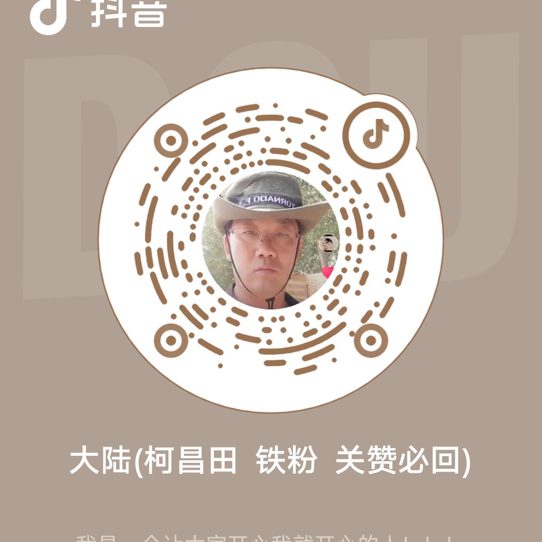 《大陆》