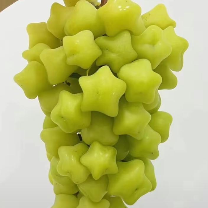 云南专业梳果装果姐妹队艳