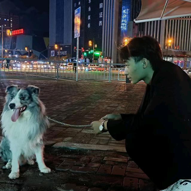 禹
