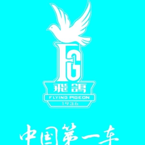 飞鸽自行车平乡芳姐店