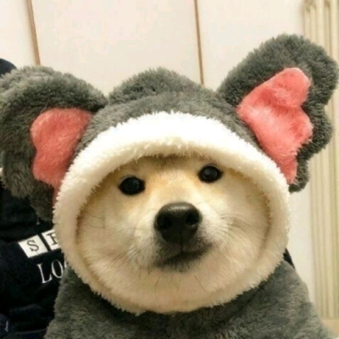 薛不了一点