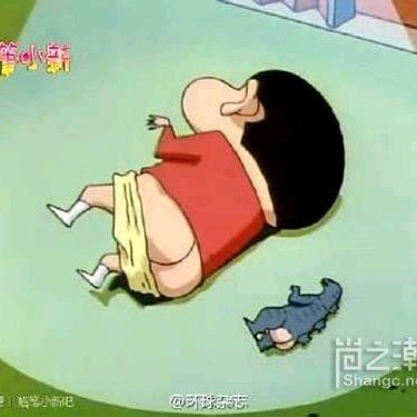 驴驴
