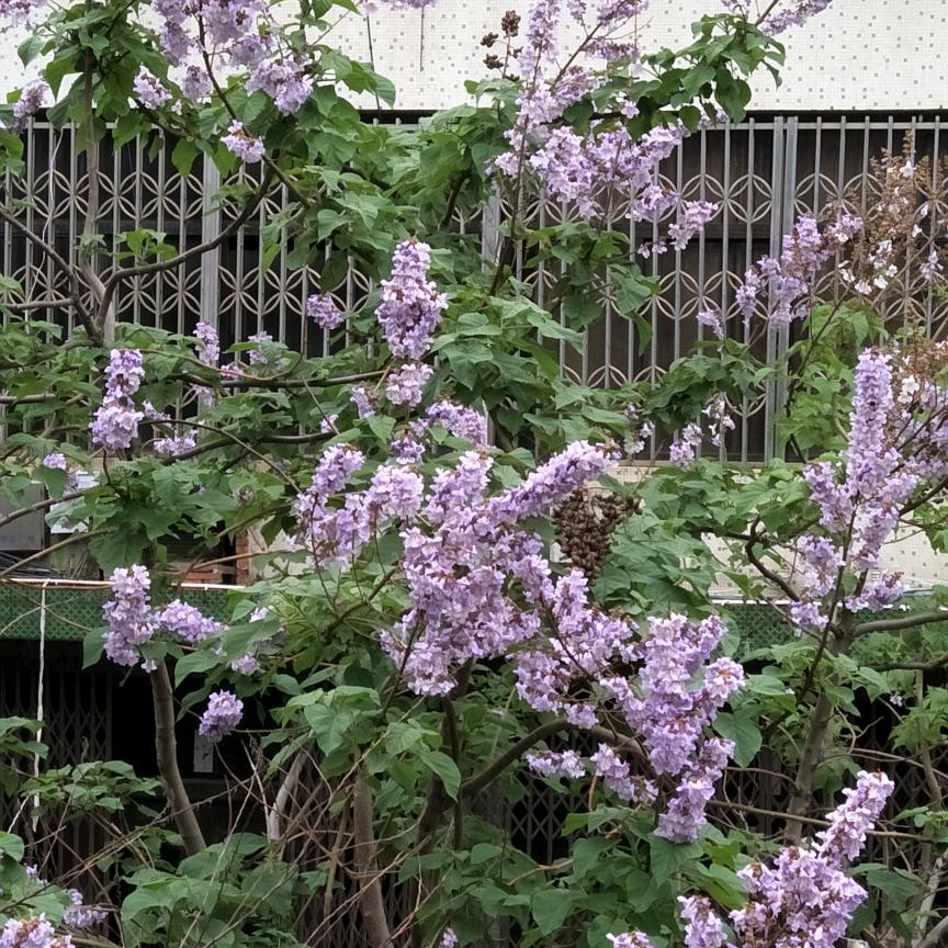 命运，因努力而精采