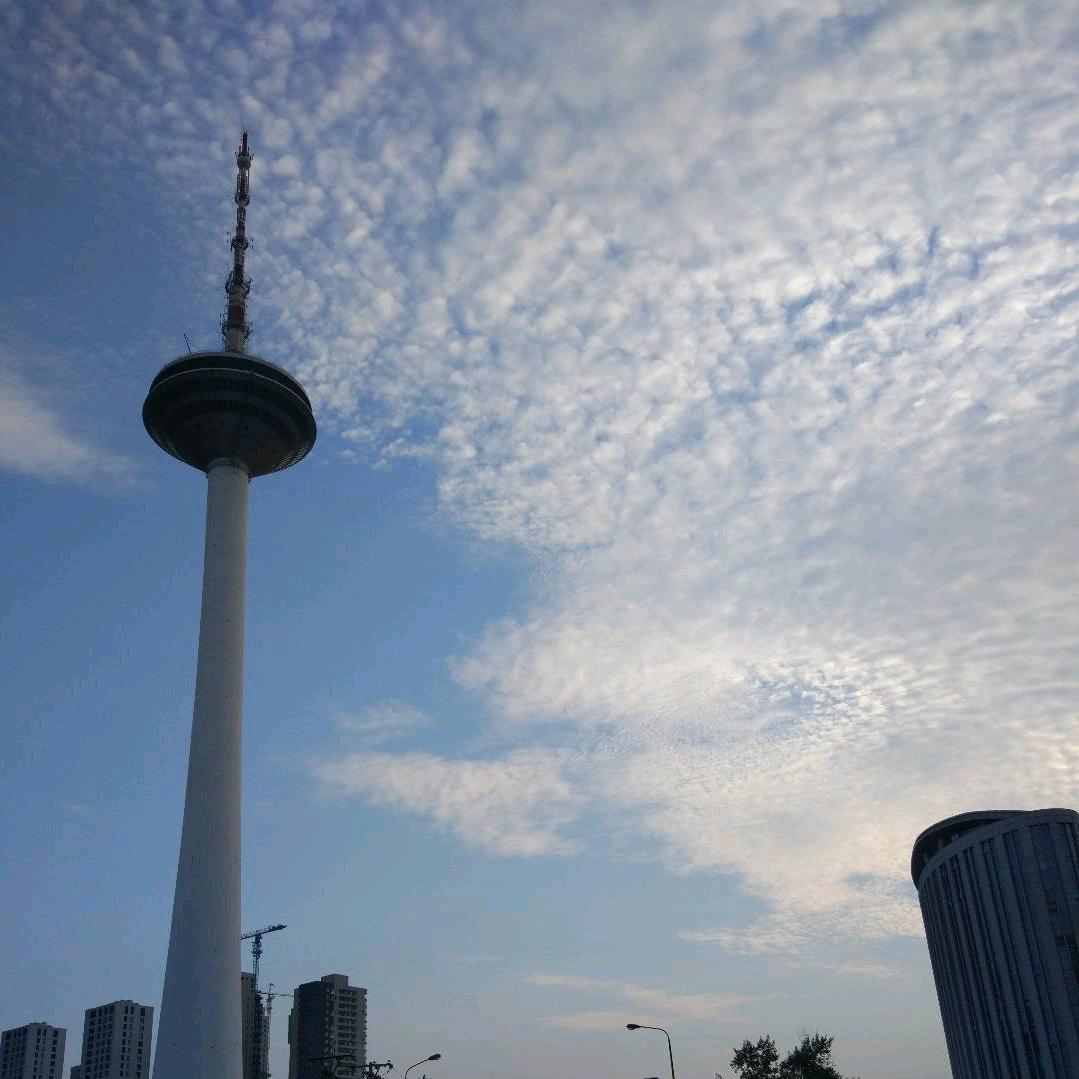 你猜猜我是谁哇🐣