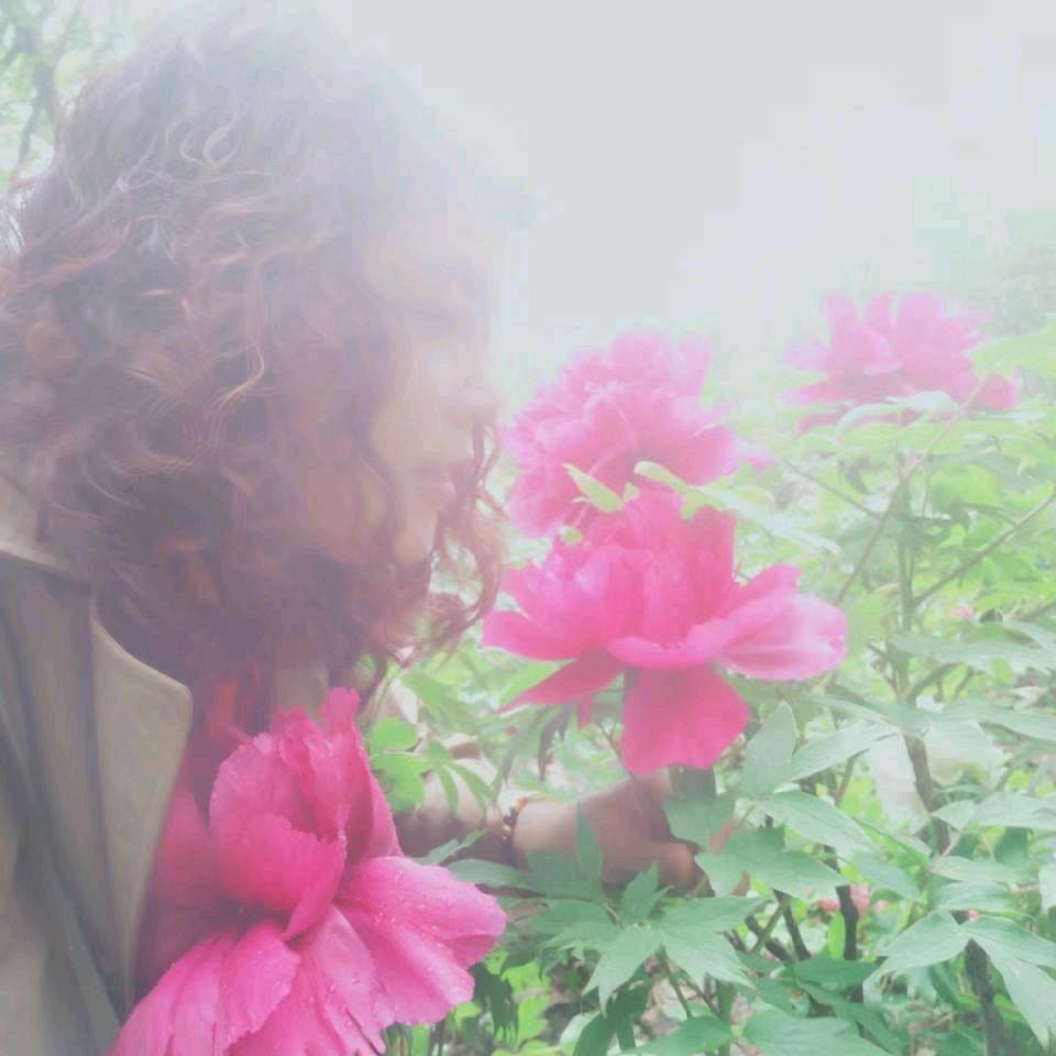 梦的方向🔑💍